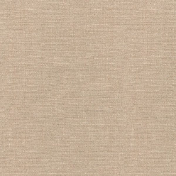 Ellen Degeneres - Cleary Dune 250442 Solid Fabric Swatch Sale