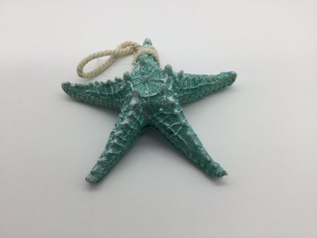 Starfish Green   Blue For Discount