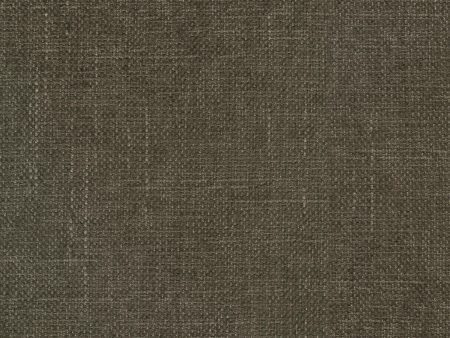 P K Lifestyles Performance Mixology - Mushroom 410848 Fabric Swatch on Sale