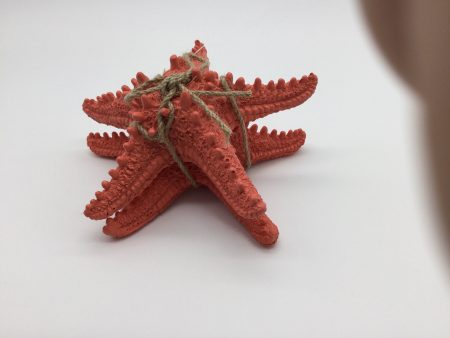 2 Pack Starfish (Coral Color) Online