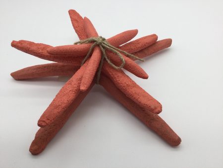 3 Pack Starfish   Coral on Sale