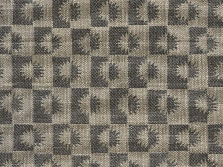 Elana Gabrielle Sunrise - Charcoal 140012 Upholstery Fabric Supply