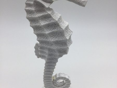 Large Seahorse   White Supply