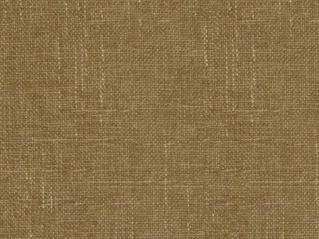 P K Lifestyles Performance Mixology - Golden 410846 Fabric Swatch Discount