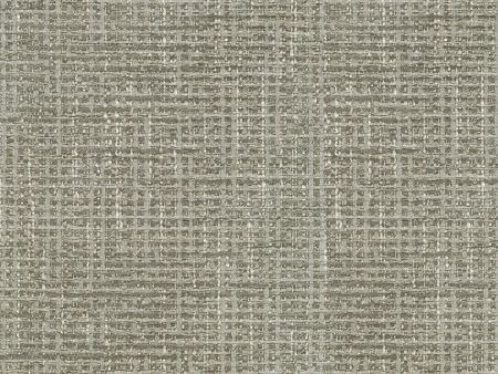 Performance + CoCo Luxe - Shale 410882 Fabric Swatch For Discount