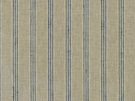 P K Lifestyles Montaro Stripe - Shoreline  411243 Fabric Swatch Online Hot Sale