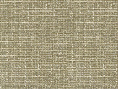 Performance + CoCo Luxe - Rattan 410881 Fabric Swatch Online Hot Sale