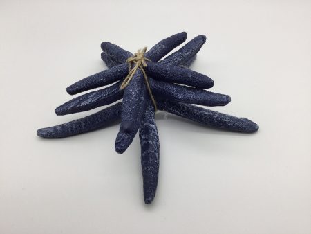 3 Pack Starfish   Blue Online Hot Sale