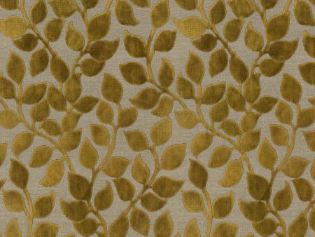 P K Lifestyles Lovely Leaf - Golden 411260 Upholstery Fabric For Discount