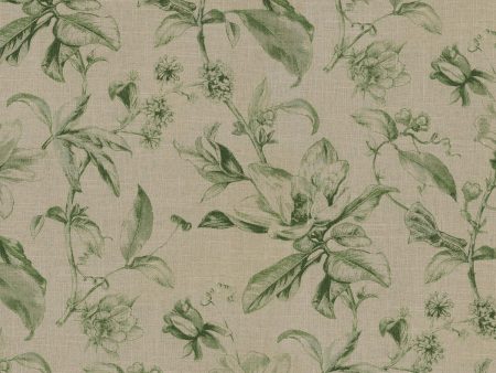 Waverly Sweet Bay - Cypress 681902 Fabric Swatch on Sale