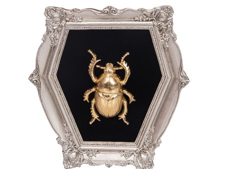 Framed Bug Wall Decor For Cheap