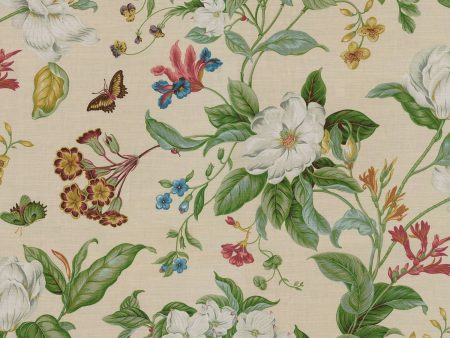 Williamsburg Garden Images - Creme 750671 Fabric Swatch Discount