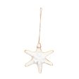 Gold Trim Sea Star Ornament Online Sale