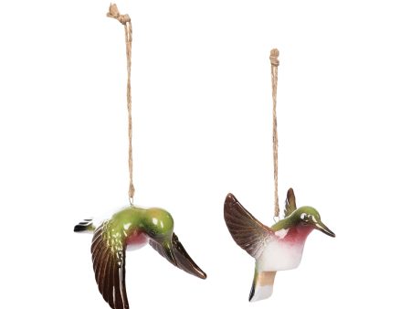 Flying Hummingbirds, Asst. of 2 Online Sale