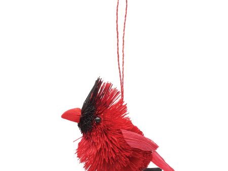 Buri Cardinal Ornament Online