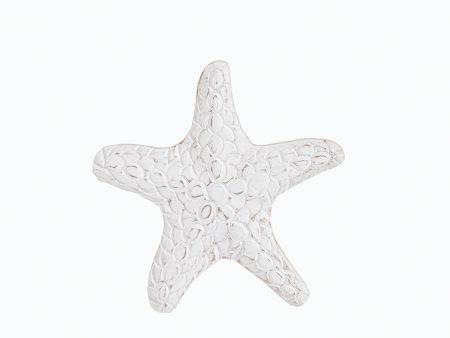 Wood Textured Small White Sea Star Fashion