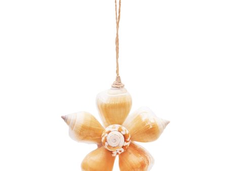 Fat Shell Flower Ornament Online now