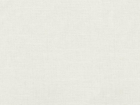 P K Lifestyles Reba - White 409124 Fabric Swatch Cheap