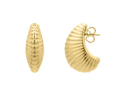 14K Gold Graduated Puffy Ribbed Shell Hoops Online Sale