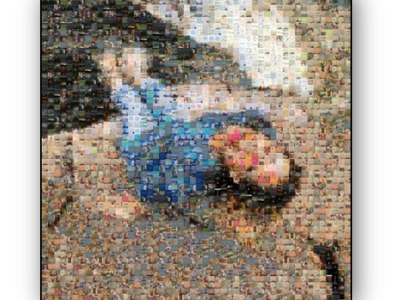 Photo Mosaic Canvas Print Supply